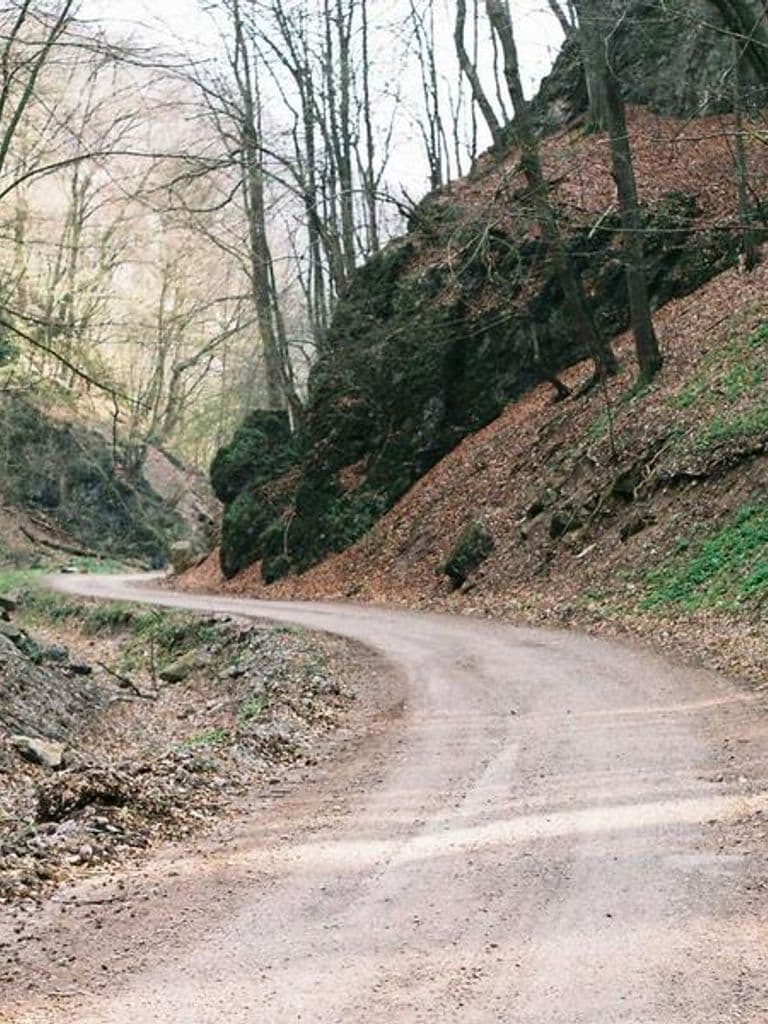 Porte-plume en bois d'érable